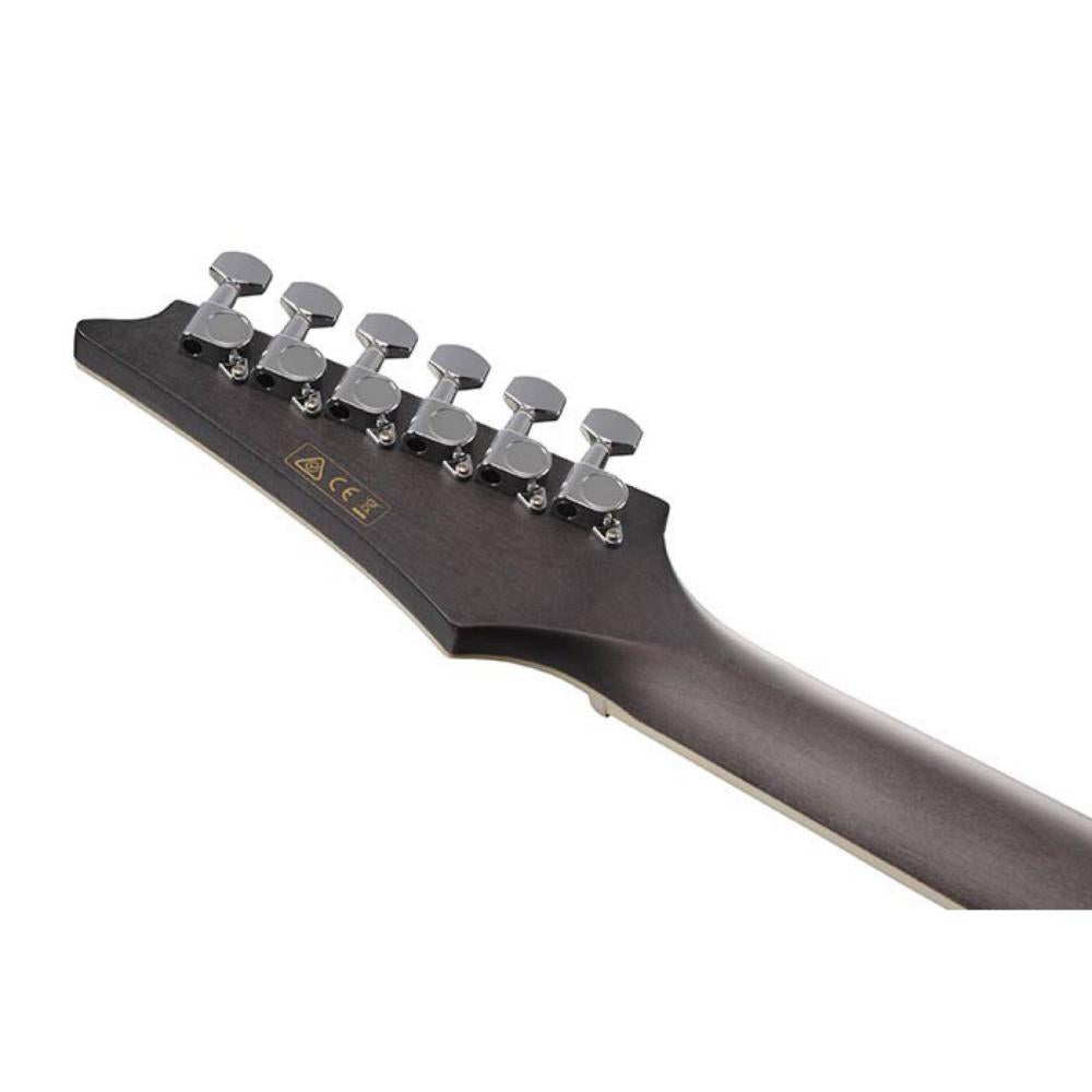 Ibanez Altstar Acoustic-Electric Guitar: Flamed Maple Top - Blue Doom Burst