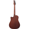 Ibanez Altstar ALT20 Acoustic-Electric Guitar, Open Pore Natural 