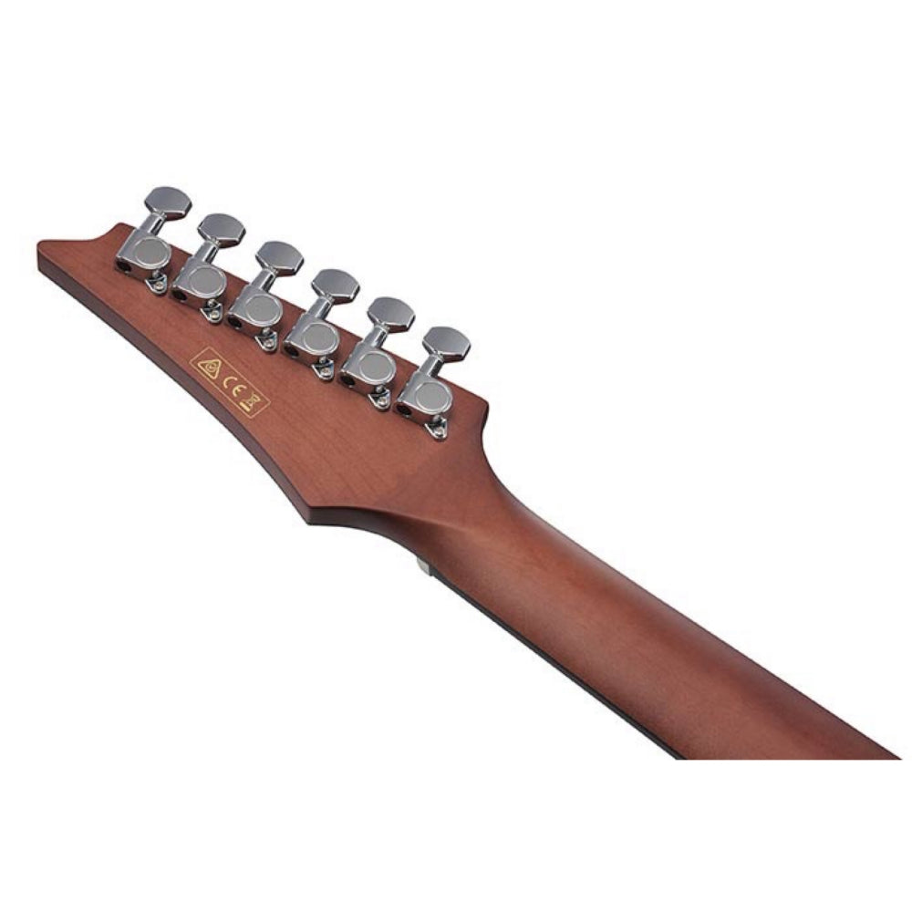 Ibanez Altstar ALT20 Acoustic-Electric Guitar, Open Pore Natural 