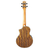 Ibanez UEWT14E Acoustic-Electric Tenor Ukulele